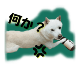 644502920
