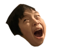 644504894