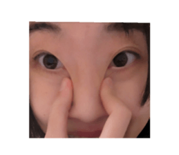644531987