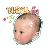 644541508