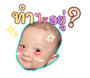 644541513