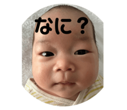 644543556