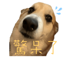644549960