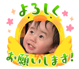 644555016