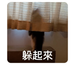 644556255