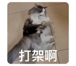 644556256