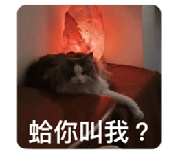 644556263