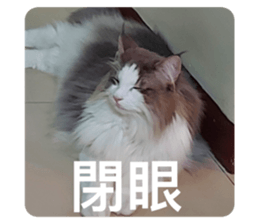 644556266