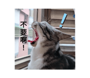 644580124