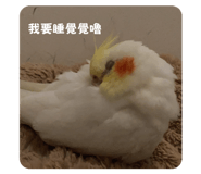644580304