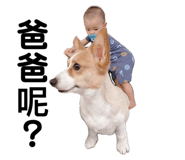 644580405
