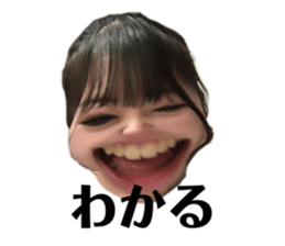 644600339