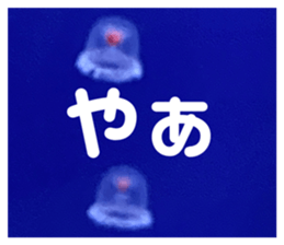 644602698