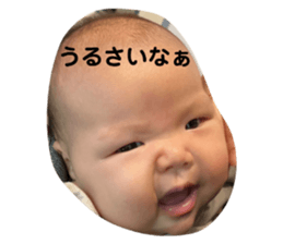 644625991