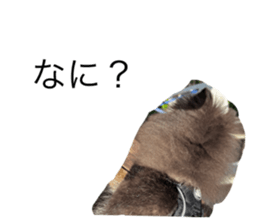 644626688