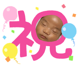 644654311