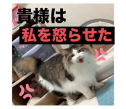644655437