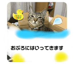 644663185