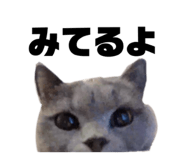 644663354