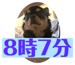 644664051