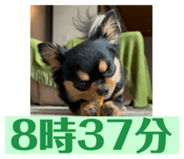 644664053