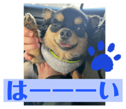 644664059