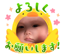 644664156