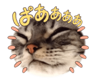 644672970