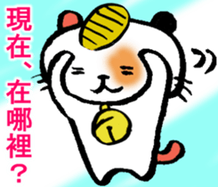 6446848