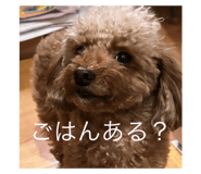 644709584