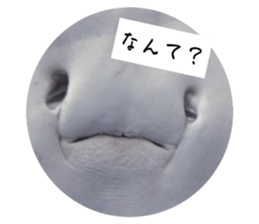 644740050