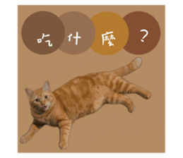 644755263