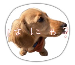 644757337