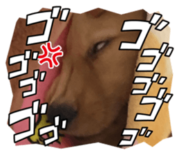 644757341