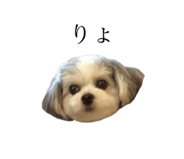 644763030