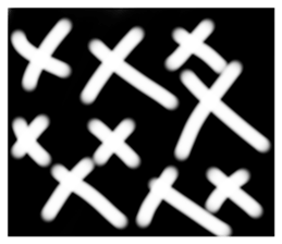 644776213