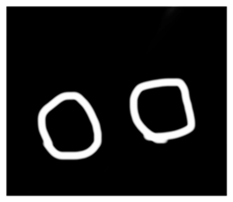 644776217