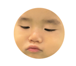 644777003