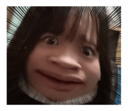 644780293
