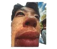 644785113