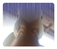644812825