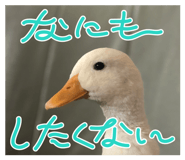 644812828