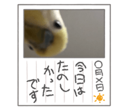 644812830