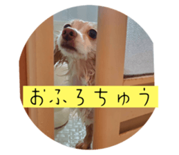 644855209