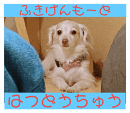 644855210