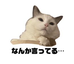 644855370