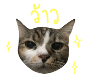 644872312