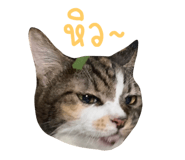 644872324