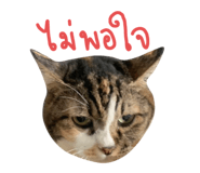 644872326