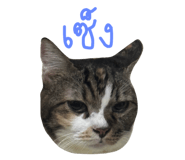 644872335